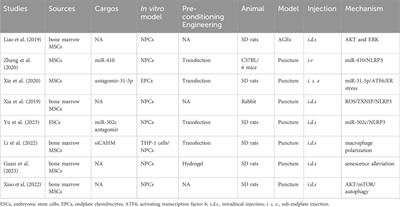 Therapeutic potential of mesenchymal stem cell-derived exosomes in skeletal diseases